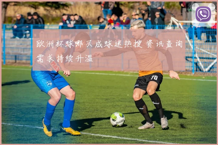 欧洲杯球哪买成球迷热搜 资讯查询需求持续升温