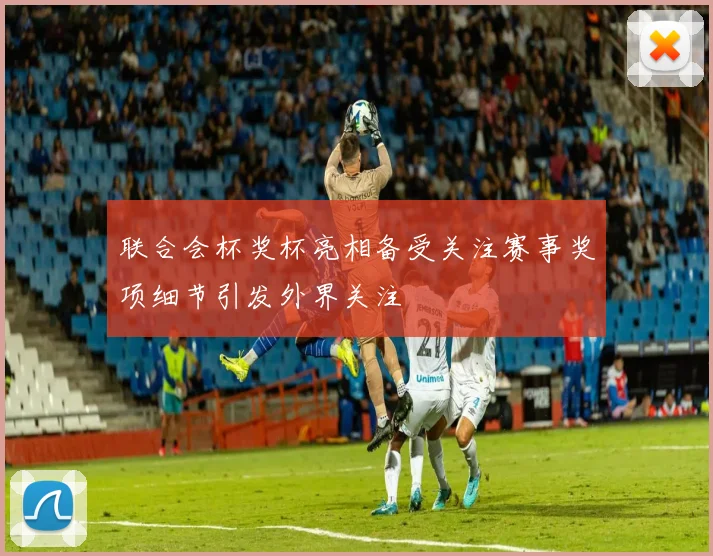 联合会杯奖杯亮相备受关注赛事奖项细节引发外界关注