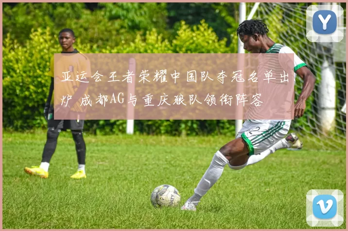 亚运会王者荣耀中国队夺冠名单出炉 成都AG与重庆狼队领衔阵容