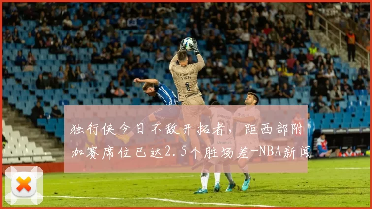 独行侠今日不敌开拓者，距西部附加赛席位已达2.5个胜场差-NBA新闻