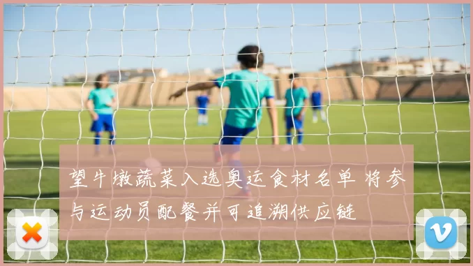 望牛墩蔬菜入选奥运食材名单 将参与运动员配餐并可追溯供应链