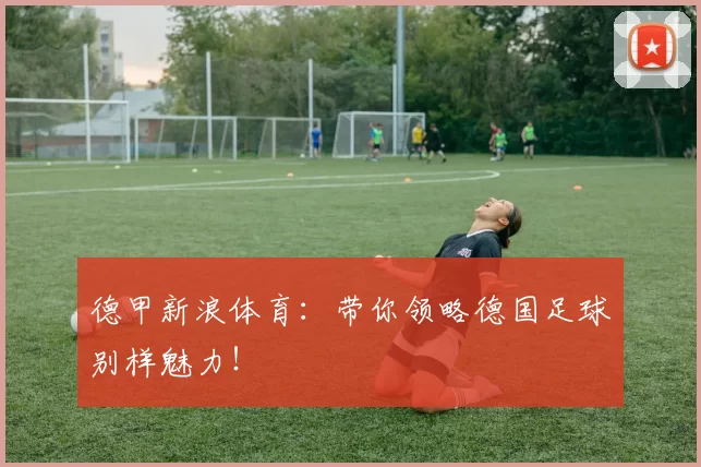 德甲新浪体育:带你领略德国足球别样魅力!